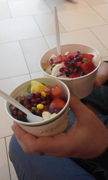 meloonia Frozen Yogurt